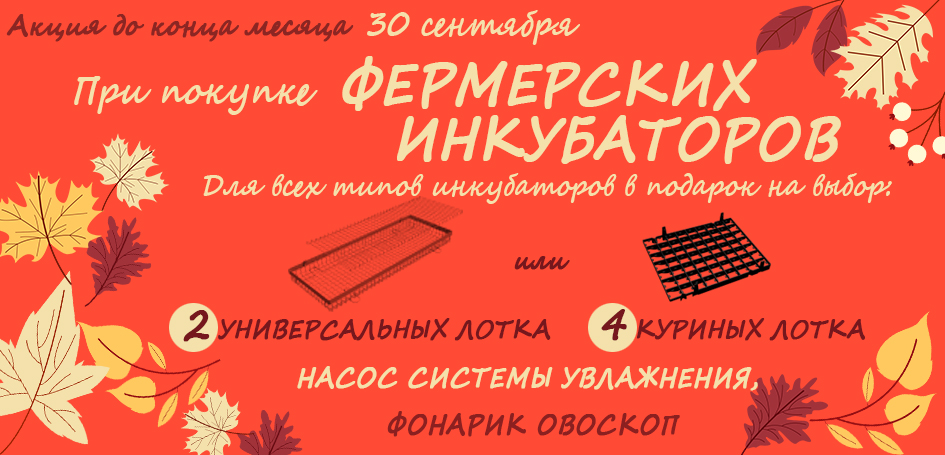 Фермерские инкубаторы