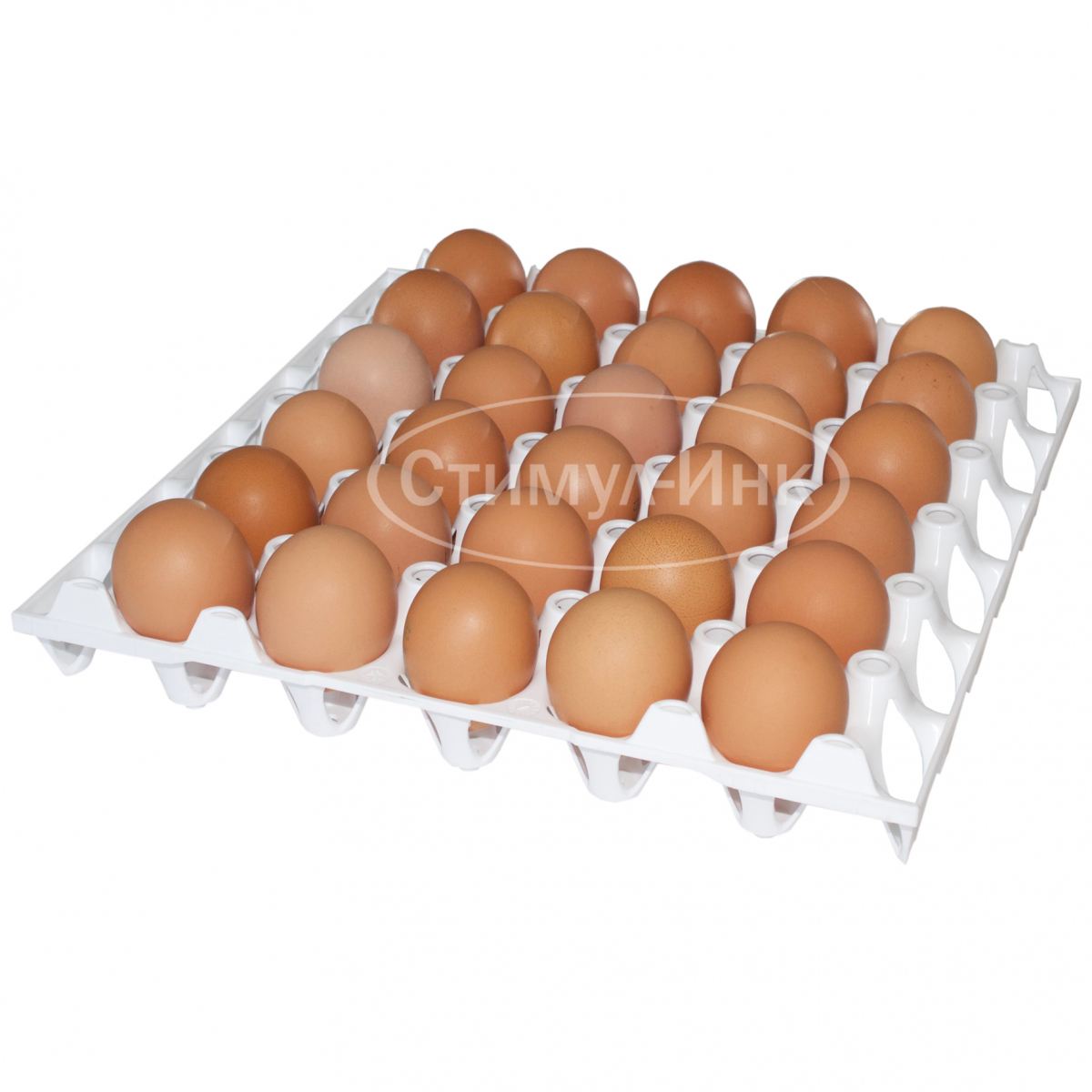 Лоток для перепелиных яиц Brinsea Ova-Easy